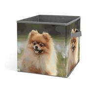 Rkklvbns Grand panier de rangement pliable avec poignées pour chien de Poméranie en tissu pour organiser livres, couvertures, jouets