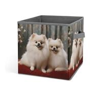 Rkklvbns Grand panier de rangement pliable avec poignées pour chiens de Poméranie à poils courts pour organiser livres, couvertures, jouets
