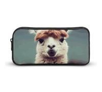 Rkklvbns Grande trousse à crayons portable en alpaga avec fermeture éclair - Rangement simple - Esthétique - Papeterie pour bureau, université, adulte