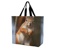 Rkklvbns Sac fourre-tout en forme d'écureuil amusant pour femme - Sac fourre-tout à bandoulière - Sac de rangement portable léger et durable pour le travail, les voyages