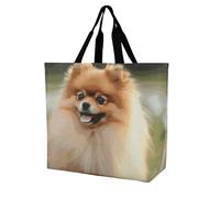 Rkklvbns Sac fourre-tout pour femme de Poméranie - Sac fourre-tout à bandoulière - Sac de rangement portable léger et durable pour le travail, les voyages