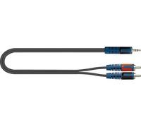 RKSA150-2 Cable Minijack Stereo - 2 X RCA 2 M Câbles adaptateur
