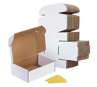 RLAVBL 25 Boîtes en Carton 22.9x15.3x7.6cm, Boîte d'expédition Blanche Livré avec Autocollants de Visages Souriants