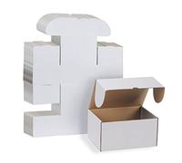 RLAVBL Boite Carton Expédition 20.3x15.3x10.2 cm, Lot de 25 Boites Carton en Blanche