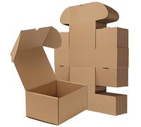 RLAVBL Boite Carton Expédition 20.3x15.3x10.2 cm, Lot de 25 Boites Carton en Marron