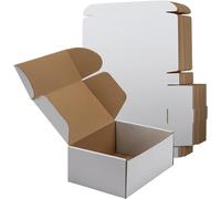 RLAVBL Boite Carton Expédition 22,9x15,3x10.2 cm, Lot de 25 Boites Carton en Blanche