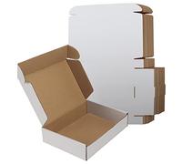 RLAVBL Boite Carton Expédition 22,9x15,3x5,1 cm, Lot de 25 Boites Carton en Blanche