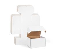 RLAVBL Boîte Carton Expédition 25.4x20.3x15.3 cm, Lot de 15 Boîtes Carton en Blanche