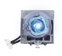 RLC-108 Ampoule de rechange avec boîtier pour lampe de projecteur VIEWSONIC PA503S PA503X PA500S PA500X PA502ES PA502XE PA503SP PA503XP PG603X PS501X PS600X VS16909 VS16905 Module lampe)