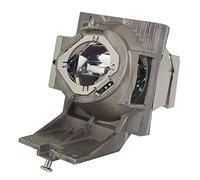 RLC-119 Lampe compatible avec boîtier pour projecteur PX701HD/PG710WU