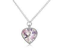 RLDOBOFE Collier pour cendres d'animaux domestiques, colibris et fleurs - Cadeau commémoratif personnalisé pour chien/chat - Pendentif urne en forme de cœur - Pour les amoureux des chiens, des chats