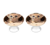 RLDOBOFE Fennec Lot de 2 boutons d'armoire ronds en forme de renard pour tiroirs, commodes, portes d'armoires de cuisine, de salle de bain