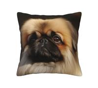 RLDOBOFE Housse de coussin carrée douce à imprimé pékinois mignon pour décoration d'intérieur, salon, lit, canapé, voiture, 45,7 x 45,7 cm