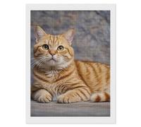 RLDOBOFE Kit de peinture diamant 5D en forme de chat mignon pour adultes - Kit d'art diamant carré pour débutants - Peinture à pois - Décoration murale - Cadeau - 30,5 x 40,6 cm