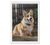 RLDOBOFE Kit de peinture diamant carré 5D pour adultes - Motif chien Corgi - Pour débutants - Peinture à pois - Décoration murale - Cadeau - 20,3 x 30,5 cm
