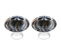 RLDOBOFE Lot de 2 boutons d'armoire ronds en forme de raton laveur, de commode, de porte, de placard pour armoires de cuisine et de salle de bain