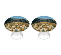 RLDOBOFE Lot de 2 boutons d'armoire ronds en forme de tournesol Academy, poignées de porte d'armoire, quincaillerie pour armoires de cuisine et de salle de bain