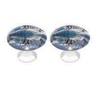 RLDOBOFE Lot de 2 boutons d'armoire ronds en forme d'ours polaire pour armoires de cuisine et de salle de bain
