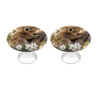 RLDOBOFE Lot de 2 boutons d'armoire ronds Koala sur un arbre en forme d'animal - Poignées de tiroir de commode, de placard - Quincaillerie pour armoires de cuisine et de salle de bain