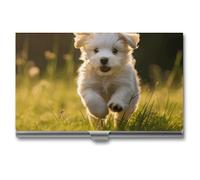 RLDOBOFE Mental Puppy Crossing The Grass Porte-cartes de visite fin avec boucle Style Fermeture Style Portable Sac à main professionnel Organisateur de cartes de nom Cadeau pour homme femme