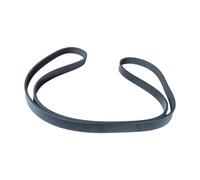 RLFNPHMHX Cale multiple en caoutchouc 6PK1650, for F//i//a//t P//a//l/i//o 1,5L 2002-2007 S//i//e//n//a