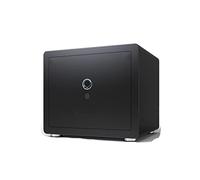 RLKHXBS Accueil Small Safe WiFi Anti vol de Grande capacité SAUTÉS SÉCURITÉ ENGRAPITÉE BIOMÉTRIQUE Alarme RÉTÉSIQUE Smart Smart Electric Ouvrir Documents SÉCURITÉS OUTRATES (Color Noir)