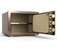 RLKHXBS Armoire s Petites s pour la Maison Armoire personnelle S Finition de Mot de Passe d'empreinte Digitale clé Digitale Verrouillage numérique Sécurité en espèces pour Le Bureau ou à la Maison