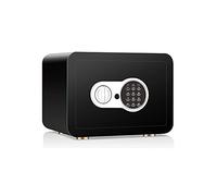 RLKHXBS étanche Ignifuge à Serrure numérique 35X25X25Cm Coffre-Fort électronique combiné Domestique en Acier avec Clavier Clés de Remplacement Manuel | pour la Maison, Le Travail ou Les Voyages
