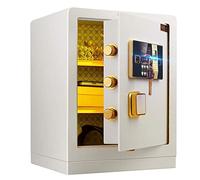 RLKHXBS Mot de Passe d'empreintes digitales de Maison Ignifuge S - Alarme électronique 39x33x50cm avec 5 boulons en Acier Double, Empreinte Digitale déverrouillée, Meubles pour l'hôtel, Le