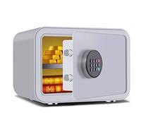 RLKHXBS S SÉCURITÉ 24.5L avec Code Code COURES DE Verse d'urgence Murs OU Voir MONTÉRÉ MONTÉ MONTÉE À Double pour Les OFFICIEURS AMÉLIORATIONS Home (Couleur: Silver Taille: 352825 cm)