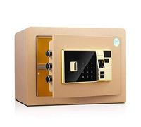 RLKHXBS Safe, New Fingerprint Password Safes Home Small Office Safe 26.5cm All-Steel Anti-Burglar and Anti-Theft in-Wall Deposit - Tyrant Gold Safety,Wall Safes