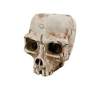 RLKHXBS Skull Planter Holder Resin Skeleton Flower Pot Succulents Pot Halloween Dish Statue Statue Sculpture Skeleton, pour Halloween Craft Decoration intérieure en Plein air (tête/Double)