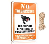 RLVH Panneau de porte de bureau amusant « No Trespassing - This Property Is Protected By Video Surveillance » - Panneau de bienvenue en bois à suspendre (20 x 30 cm)