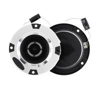 RLVYTA Lot de 2 Haut-parleurs Tweeter 150 W 4 Pouces, Gamme complète de fréquences, pour système Audio de Voiture DIY(6 OHM)