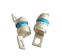 RLZQSGOT Fusibles 10 pièces CR2LS-10/UL CR2LS-20/UL CR2LS-30/UL CR2LS-50/UL CR2LS-75/UL CR2LS-100/UL 10A 20A 30A 50A 75A 100A(CR2LS-100-UL 100A)