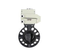 RLZQSGOT Vanne Papillon électrique DN50 2 Pouces DN65 DN80 DN100 4 Pouces(DN65)