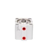 RM/92020/M/5 RM/92020/M/10 RM/92020/M/15 RM/92020/M/20 RM/92020/M/25 RM/92020/M/30 40 50 Vérin compact série IMNG RM92000(RM.92020.M.15)