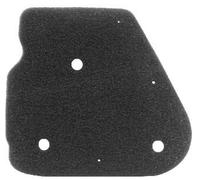 RMS 10 060 0031 Filtre à air