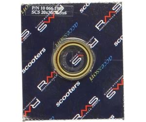 RMS 10 066 1900 Joint SPI de vilebrequin