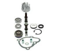 Rms Kymco X-citing 250-300cc 100110460 Water Pump Rebuild Kit Argenté