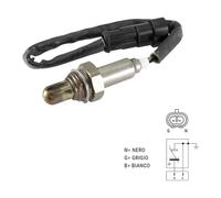 Rms Sonde Lambda Harley Davidson Electra Glide 2007/2009 7913.20.028