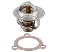 Rms Thermostat Piaggio Porter 1.0 100120730