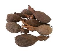 RMY Maniguette entière, Gousse de piment de Guinée, (graines de paradis) piment alligator ou poivre alligator-6/ PCS -