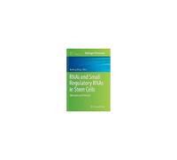 Rnai And Small Regulatory Rnas In Stem Cells