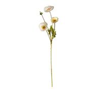 RNCOZE Lot de 5 branches de coquelicots blancs de 60 cm, fleurs artificielles en soie de printemps à longues tiges, bouquet de coquelicots séchés à 4 têtes pour décoration d'intérieur