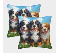 RNDKAUUIE Caucasian Dog Housse Coussins Lot De 2 Taies d'oreiller Carrées Fermeture Éclair Invisible Housse De Coussin pour Chambre, Canapé, Chaise, Lit,Jardin Taies d'oreiller 50x50cm