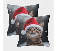RNDKAUUIE Le Chat de Noël Canapé Coussins Lot De 2 Taies Animaux Mignons d'oreiller Taies d'oreiller Carrées Cacher La Fermeture À Glissière pour Patio Jardin Salon Chambre Décoration 50x50cm