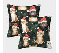 RNDKAUUIE Le Chat de Noël Coussin d'oreiller Housse De Coussin Canapé Taie Animaux Mignons d'oreiller pour Canapé Maison Salon Chambre Décoration D'intérieur, Ensemble De 2 Pièces 40x40cm