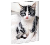 RNK 45331 Drawing Folder Cat 310 x 440 mm DIN A3 with Elastic Closure Pack of 1