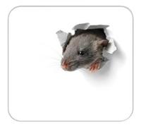 RNK Verlag Bloc tapis de souris 'Souriceau', 240 x 220 mm G